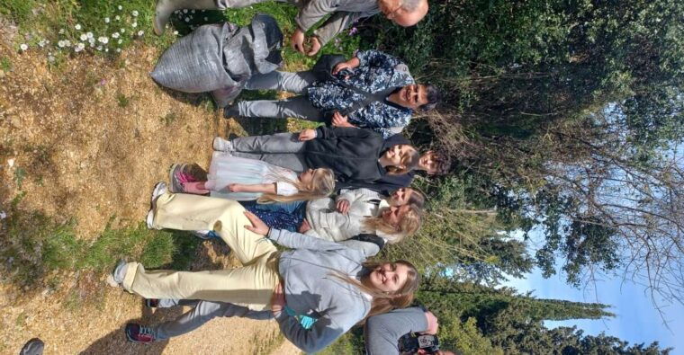 north-corfu-olive-tour-with-olive-oil-tasting-and-meze