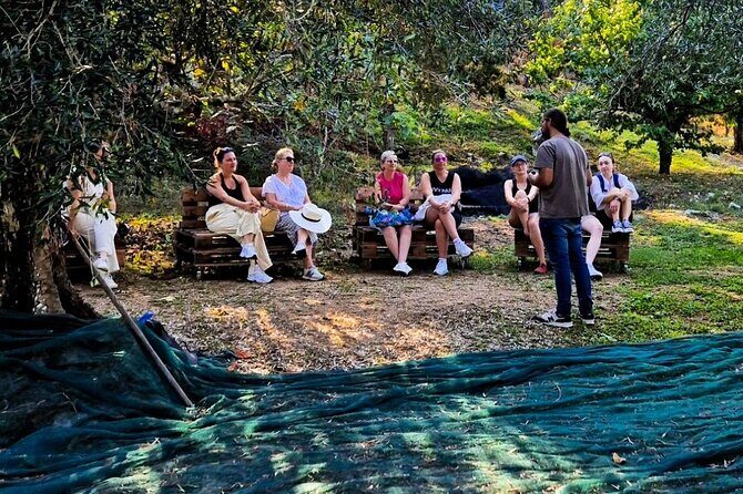 North Corfu Olive Tour With Olive oil Tasting & Meze - The Value and Practical Aspects