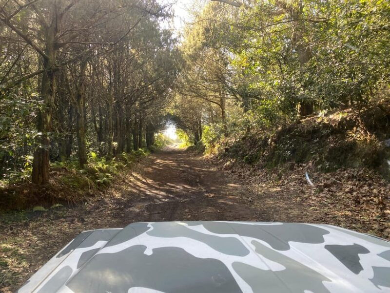 north-east-madeira-jeep-safari-tour-for-the-nature-lovers