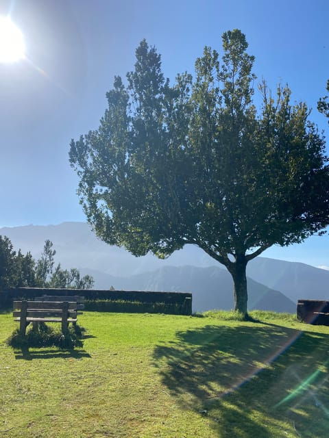 north-east-madeira-jeep-safari-tour-for-the-nature-lovers