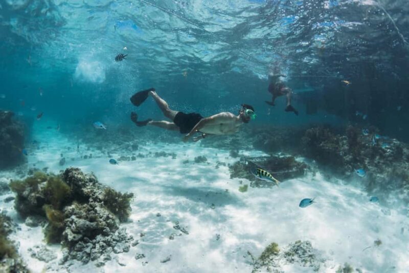 North East of Mauritius: Catamaran Cruise w/ BBQ Lunch - Who Is This Tour Best For?