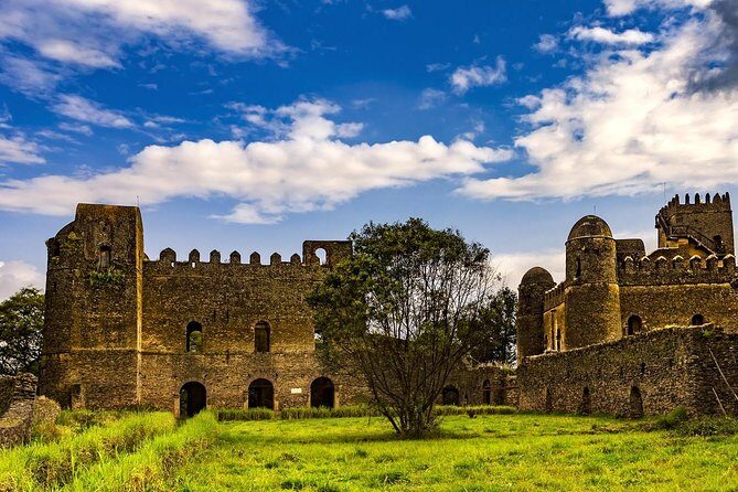 North Ethiopia Tours 12 Days From Addis Ababa - Who Should Consider This Tour?