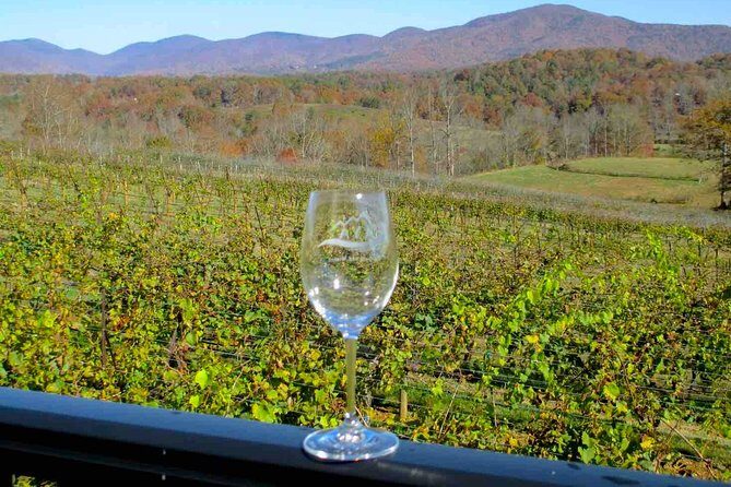 North Georgia Wine Country Tour from Atlanta - What to Expect: An In-Depth Look