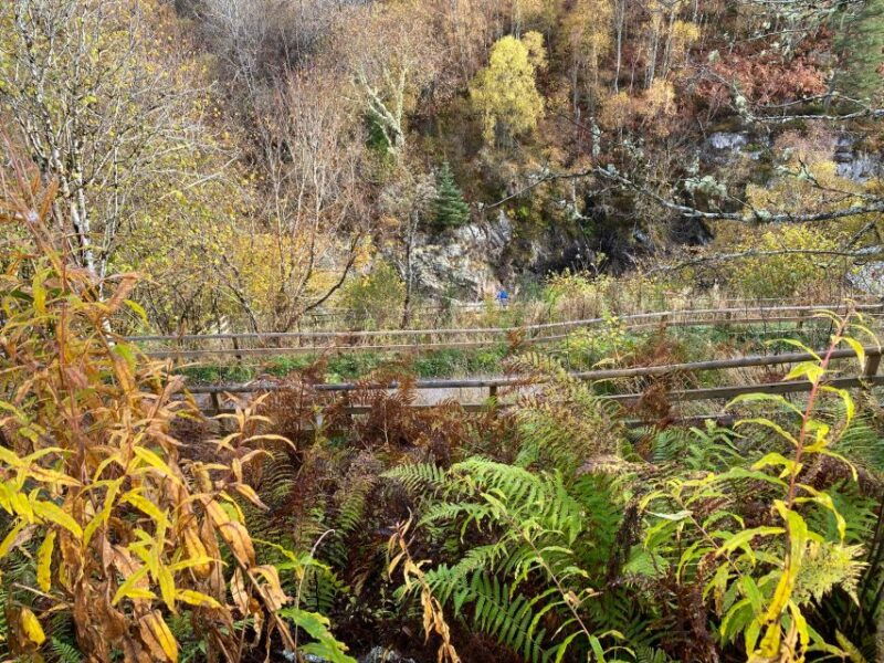 north-highland-tour-dunrobin-castle-more-from-invergordon