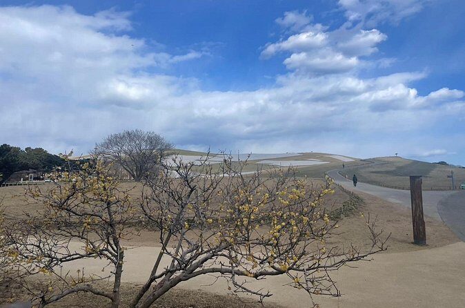 North Ibaraki Tour - Final Thoughts: Is the North Ibaraki Tour Worth It?