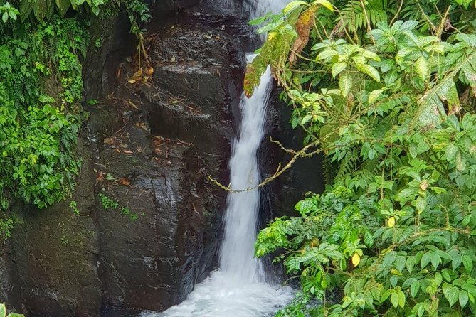 north-island-tour-and-martinique-best-secret