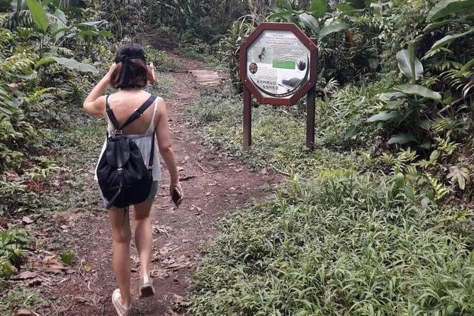 north-island-tour-and-martinique-best-secret
