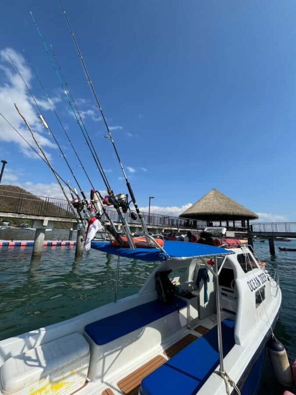 North Komodo: Private Full-Day Fishing Trip by Speedboat - Introduction: What to Expect from the North Komodo Private Fishing Trip