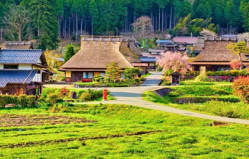 North Kyoto: Miyama Winter Lanterns Festival & Ine Day Tour - FAQ