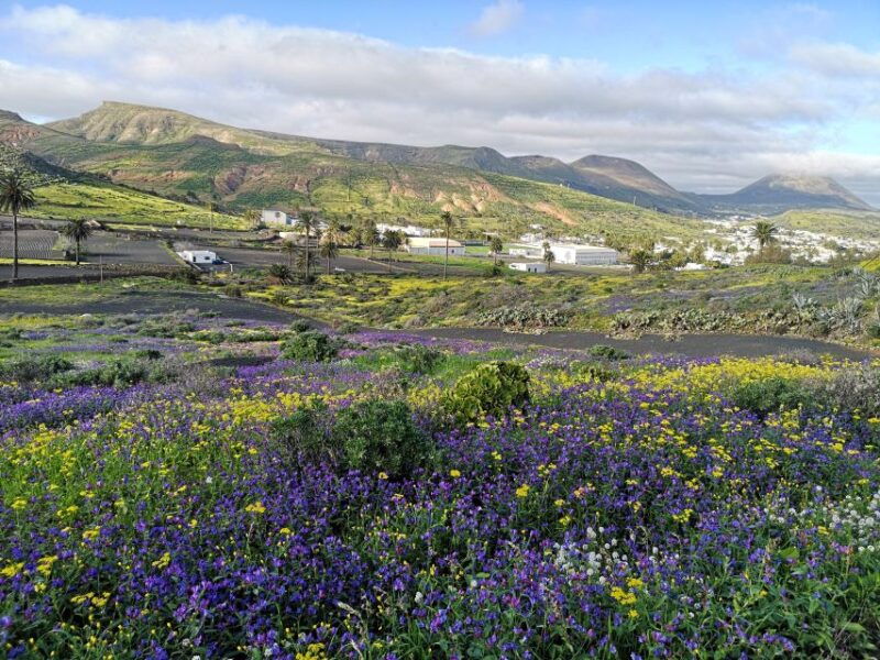 north-lanzarote-cave-jameos-del-agua-and-viewpoint