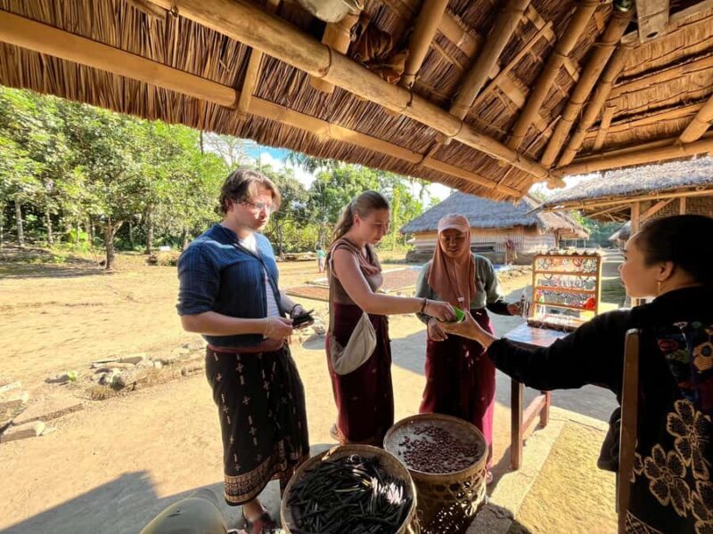 North Lombok: Explore Sendang Gile, Tiu Kelep & Selong Hill - Final Thoughts: Who’s This Tour Best For?