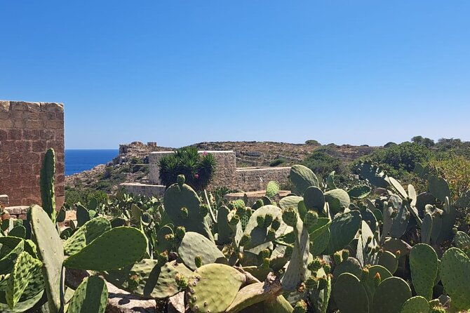 north-malta-quad-bike-tour-with-land-or-sea-views-and-swimming