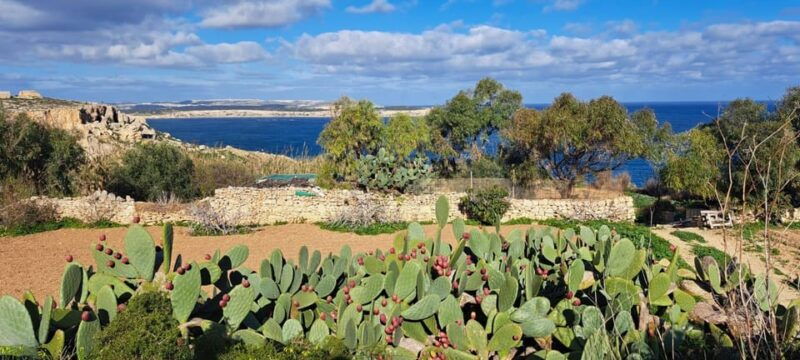 north-malta-quad-bike-tour-with-scenic-land-sea-swimming