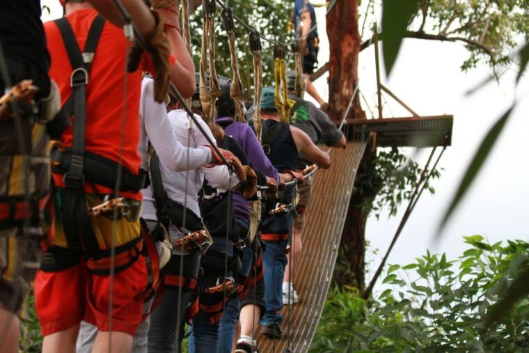 north-maui-7-line-zipline-adventure-with-ocean-views