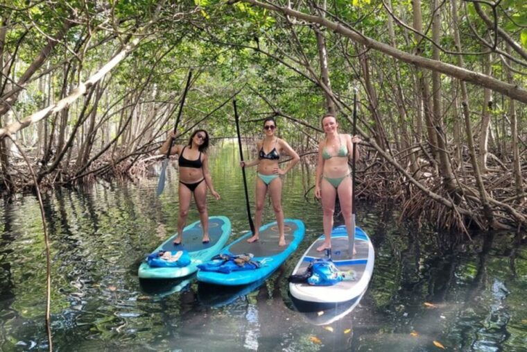 north-miami-nature-island-exploration-on-sup-kayak