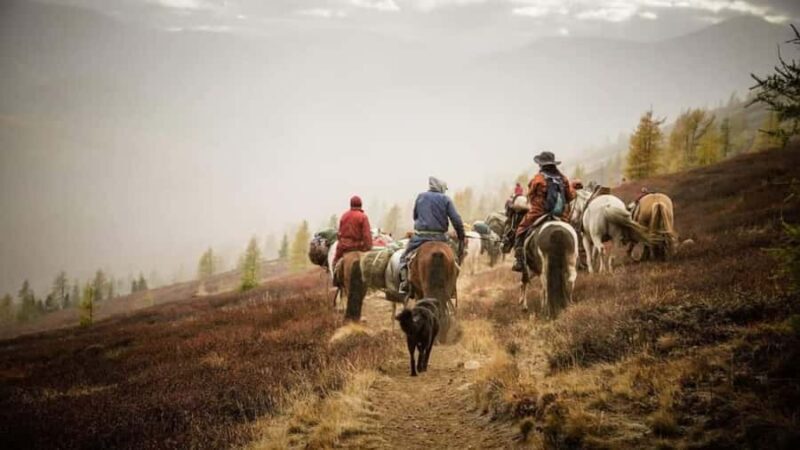 North Mongolia: 13-Day Reindeer Family Visiting Tour - FAQs