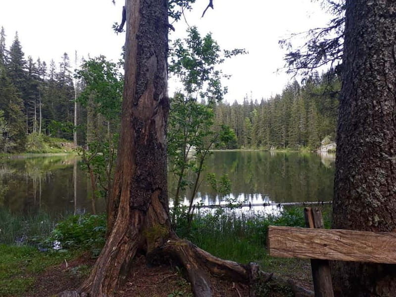 North Montenegro return trip - Biogradska Gora National Park - Key Points