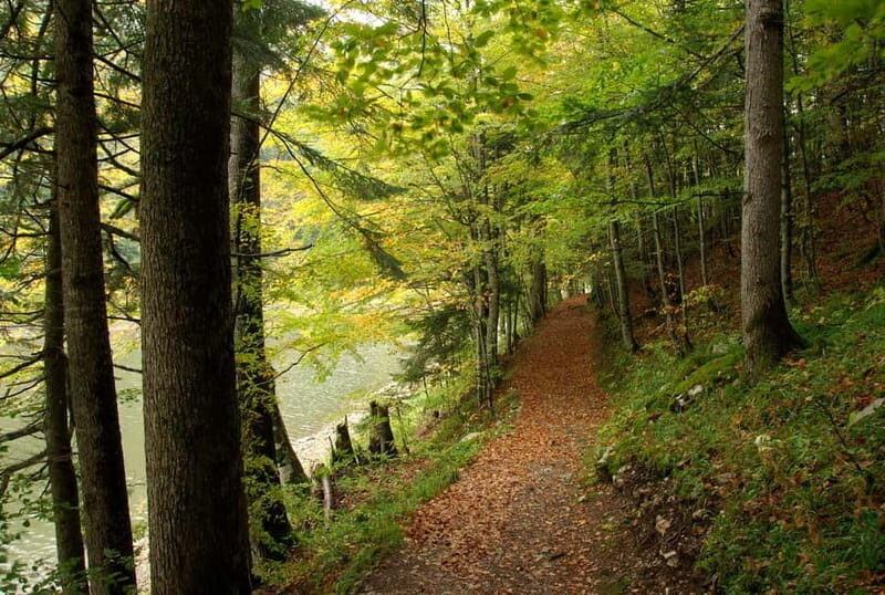 NORTH OF MONTENEGRO The heart of Montenegro! - The Stops – What You’ll Experience