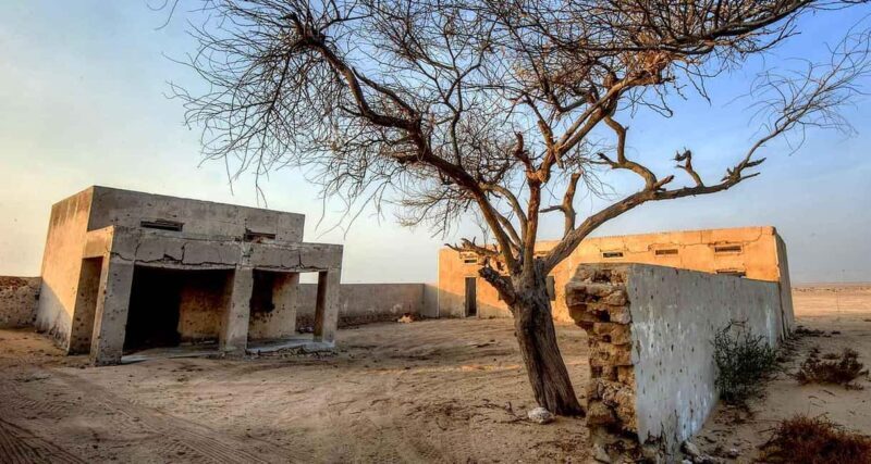 North Of Qatar Tour - The Experience: What Travelers Usually Say