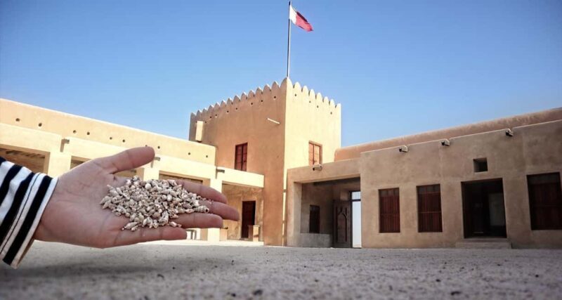 North Of Qatar Tour - Why This Tour Might Be Perfect for You