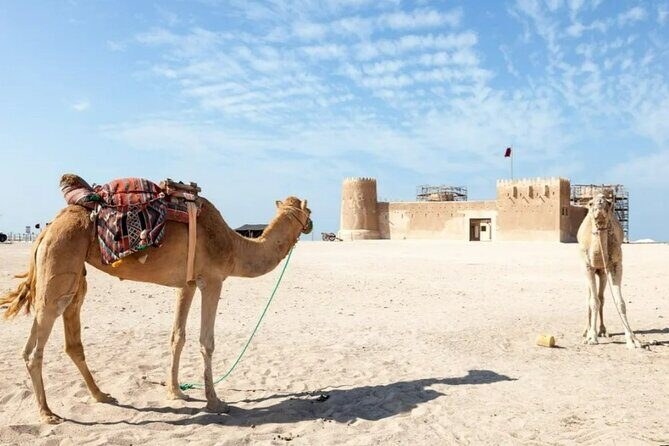 North of Qatar Tour to Olafur Eliasson,Zubara Fort,Jumail Village - FAQ