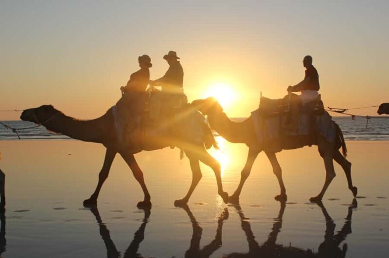 North of Rocks on Cable Beach: 1-Hour Sunset Camel Ride - Key Points