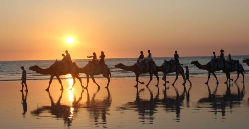 North of Rocks on Cable Beach: 1-Hour Sunset Camel Ride - Practical Details and Considerations