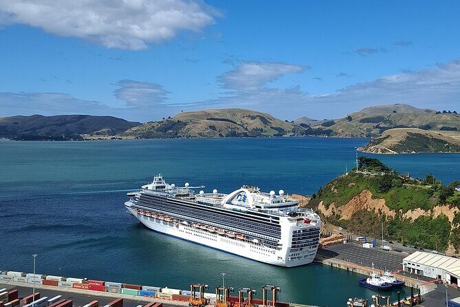North Otago 7 Hours Scenic & Wildlife Tour - An In-Depth Look at the Otago Experience