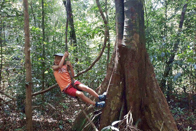 North Phu Quoc Island Off Road Adventure in a Classic Army Jeep - Who Should Consider This Tour?