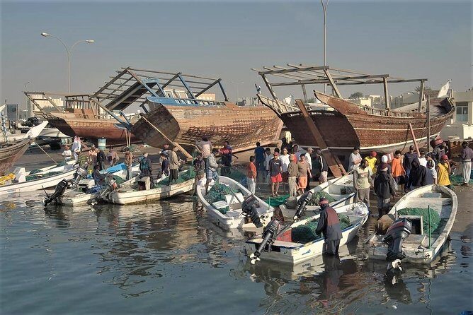 North Qatar Half-Day Tour: Al Zubarah, Purple Island & Mangroves - Who Should Book This Tour?