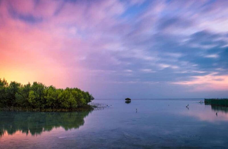 North Qatar: Zubara Fort, Jumail Village, Thakhira Mangroves - Value for Money and Practical Tips