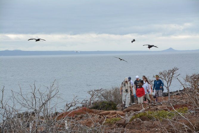 north-seymour-island-bachas-beach-on-board-of-sea-lion-yacht