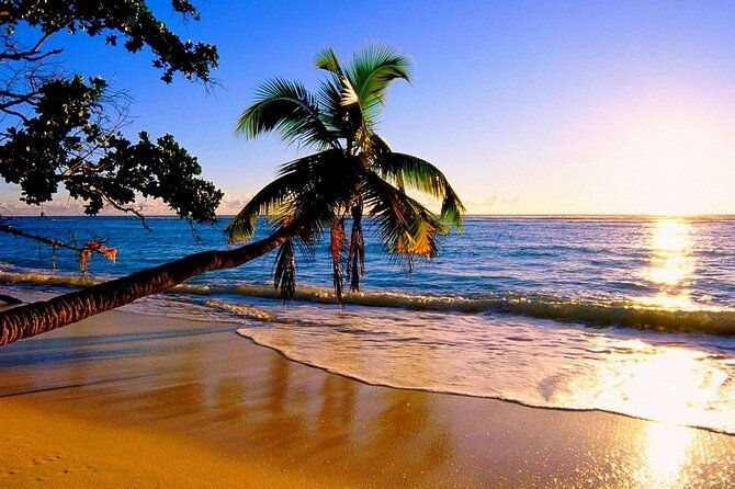 north-shore-private-tour