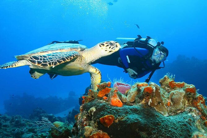north-shore-private-tour
