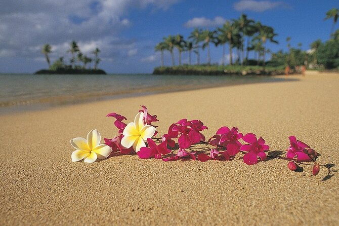 north-shore-private-tour