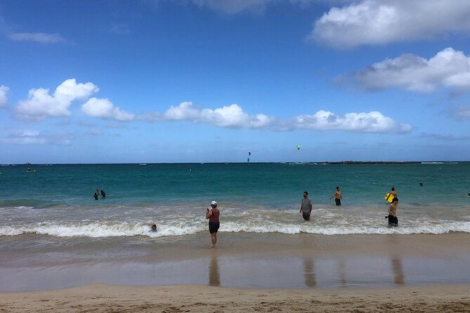 north-shore-waimea-falls-day-swim-with-turtles