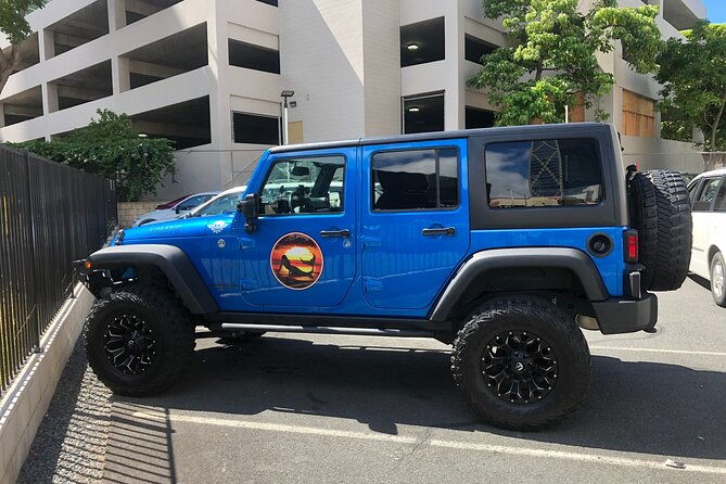 north-shore-waimea-falls-day-swim-with-turtles