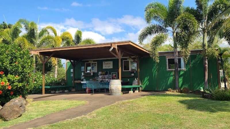 North Shore's best day! River, Turtles, Farm with Lunch - Key Points