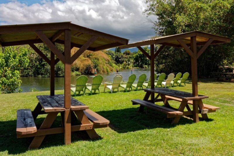 North Shore's best day! River, Turtles, Farm with Lunch - Who Would Love This Tour?