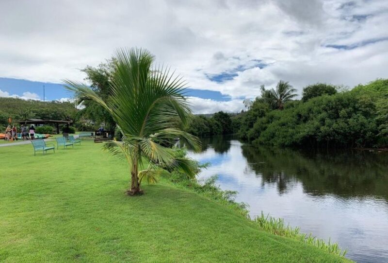 North Shore's best day! River, Turtles, Farm with Lunch - Final Thoughts