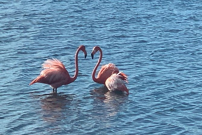 north-south-tour-with-local-guide