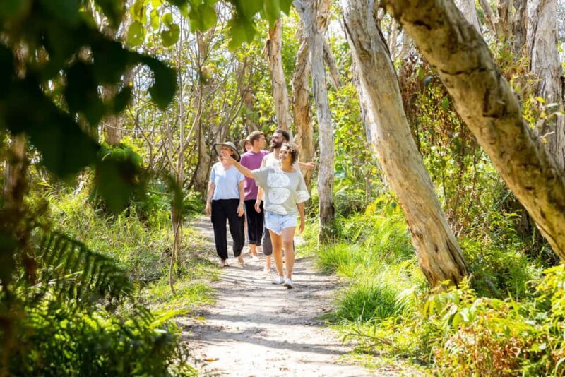 North Stradbroke Island Cultural Private Tour from Brisbane - Who Will Love This Tour?