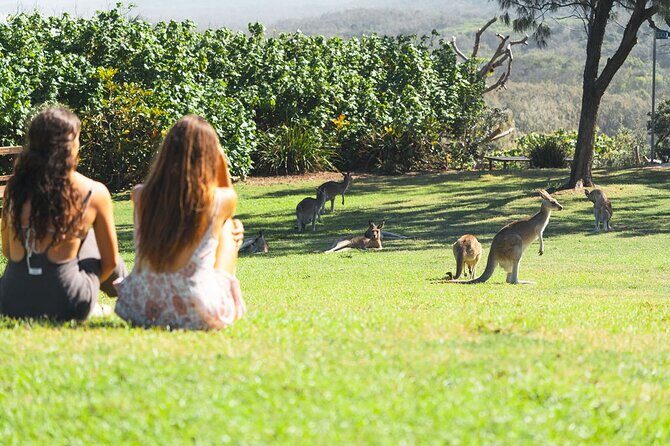 North Stradbroke Island Day Tour from Brisbane  Small Group - Practical Details and Considerations