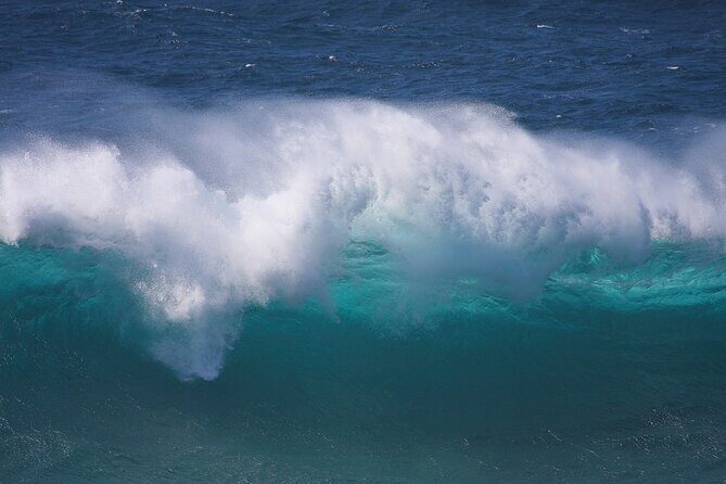 North Stradbroke Island Private Tour with Pickup - Who Is This Tour Best For?