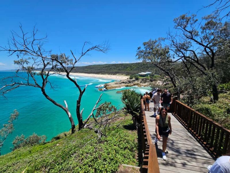 North Stradbroke Island: Whales, Wildlife & Beaches Day Trip - Key Points