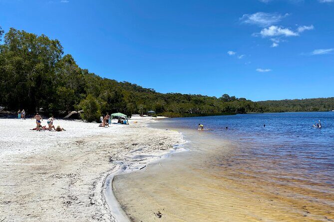 North Stradbroke Island WILDLIFE Adventure Tour from Brisbane - Introduction to the Tour Experience