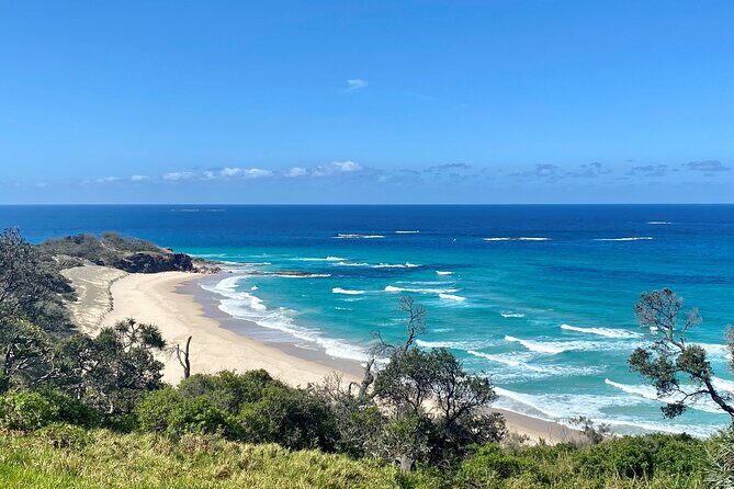 North Stradbroke Island WILDLIFE Adventure Tour from Brisbane - Authentic Insights from Reviewers