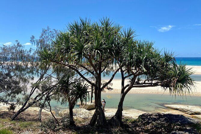 North Stradbroke Island WILDLIFE Adventure Tour from Brisbane - FAQ