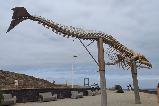 north-tenerifes-mysteries