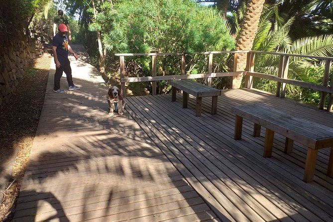 north-tenerifes-mysteries